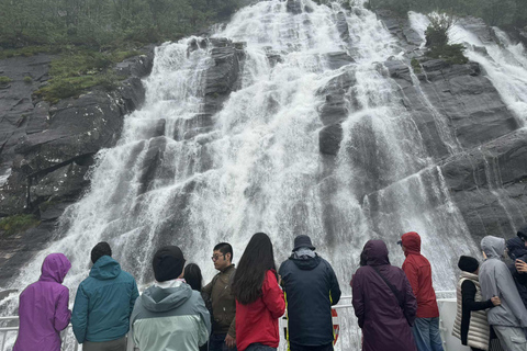 Bergen: rejs po fiordzie Mostraumen, góra Fløyen, zwiedzanie miasta
