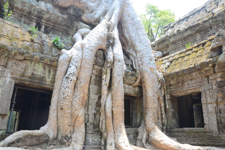 Zweitägige Angkor-Sightseeing-Tour ab Siem Reap