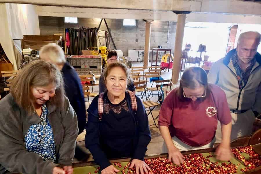 Ab Boston: Tour zu einer Cranberry-Farm in Neuengland mit Snack. Foto: GetYourGuide