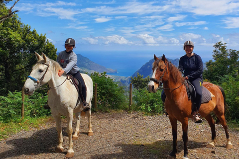 Madeira Horse Riding: Laurel Forest Trail