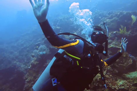 Moalboal : Scuba Diving Sardine Run and Turtle Chasing Scuba Diving: Sardine Run, Turtle Chasing &Pescador Island
