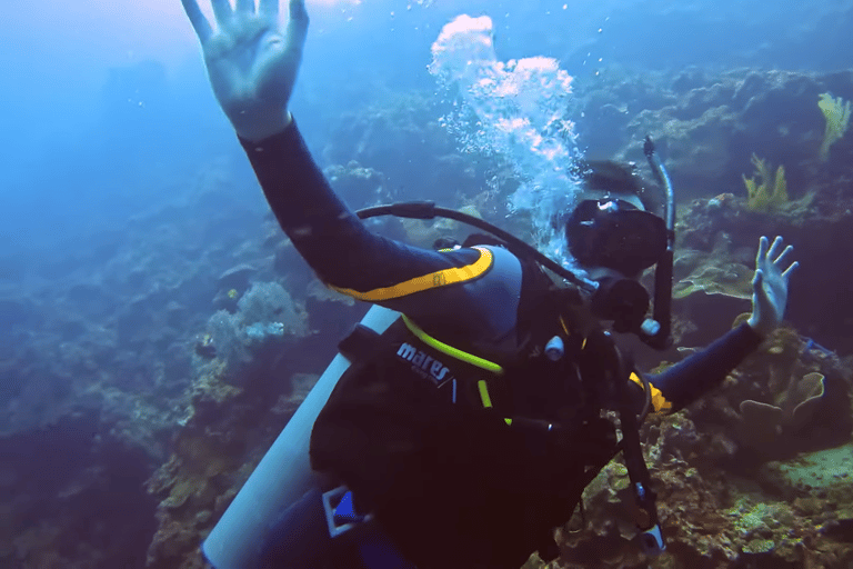 Moalboal : Scuba Diving Sardine Run and Turtle Chasing Scuba Diving: Sardine Run, Turtle Chasing &Pescador Island