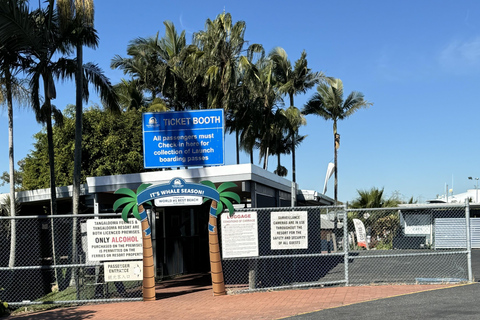 TANGALOOMA: HOLT ST WHARF PARA GOLD COAST SHUTTLEEntrega na Costa de Ouro do The Star