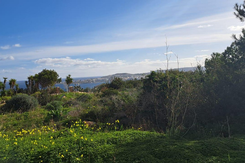 Norte de Malta: Passeio de quadriciclo com paisagens de terra, mar e natação