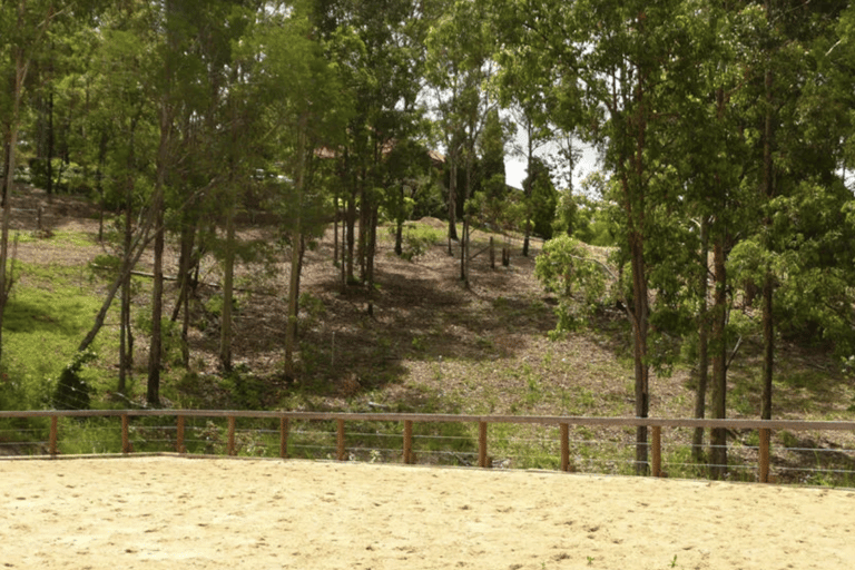 Gold Coast: Horse Whispering Experience Private Group Session