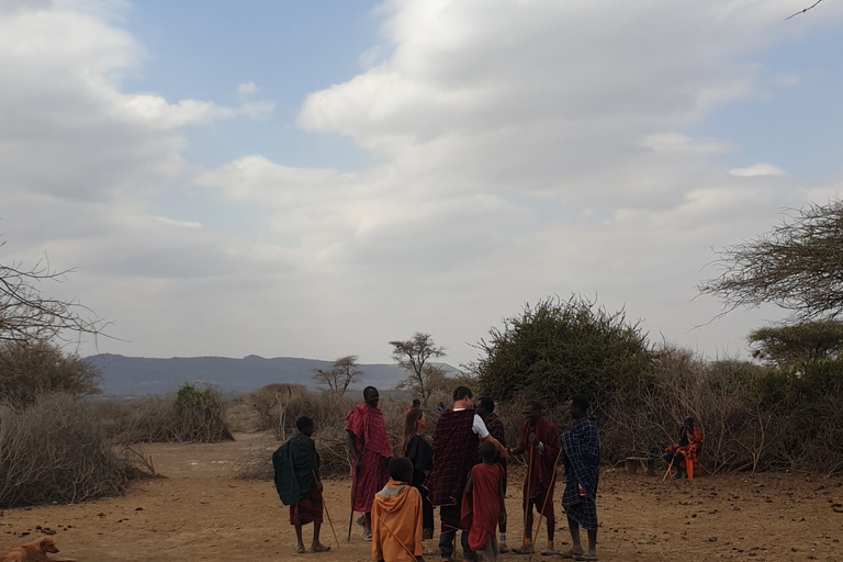 Esperienza culturale Maasai Boma (tour del villaggio maasai)Esperienza culturale Maasai Boma (con pranzo e bevande)