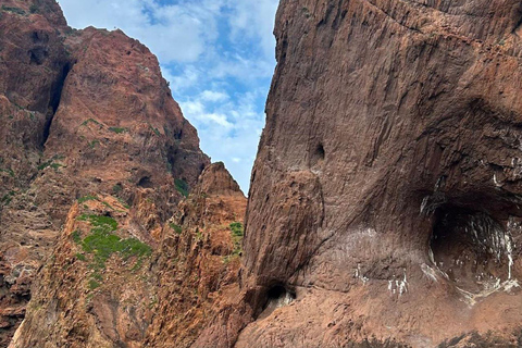 Porto: Tour of the Scandola Nature Reserve and the Calanche de Piana