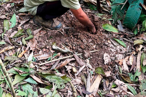 AMAZONAS-ÜBERLEBENSREISEAMAZON-ÜBERLEBENSREISE