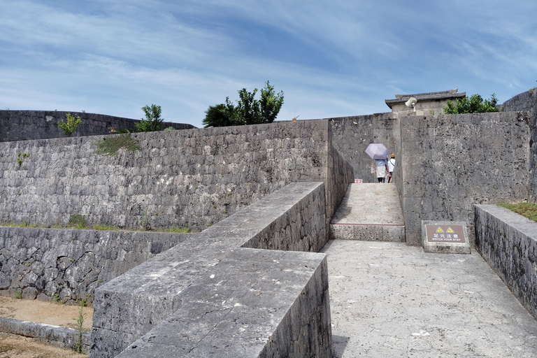 Naha: Shurijo Castle & Tamaudun Guided Walking Tour Morning visit