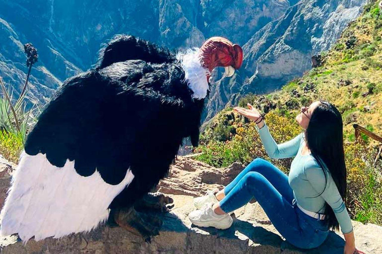 Ganztägiger Ausflug zum Colca Canyon