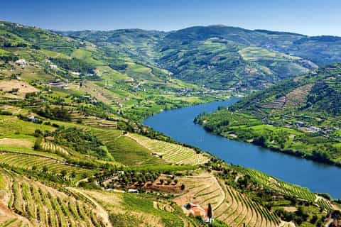 Douro Valley and River Full-Day Heritage Hike