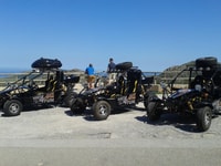 Cala Millor & Sa Coma, Half-Day Buggy Tour of Mallorca - Housity
