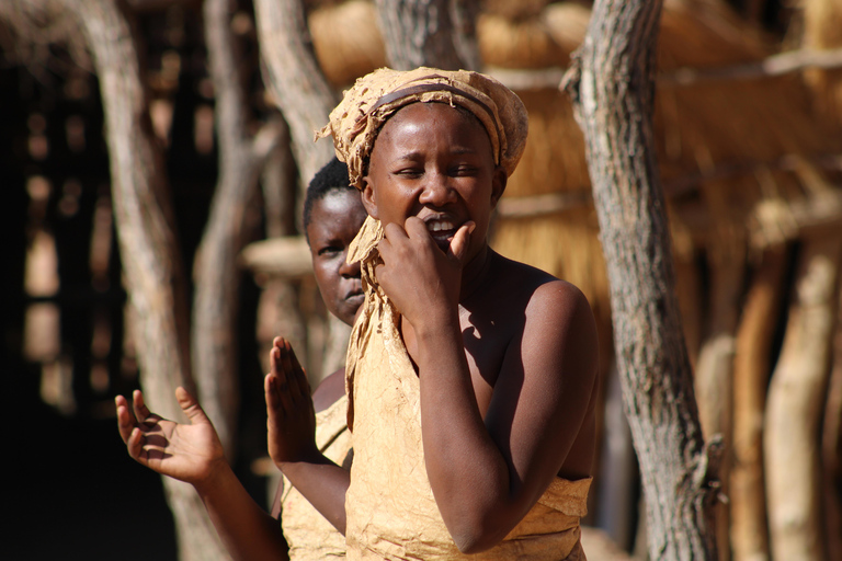 Windhoek: Namibia 12-Day Self-Drive Tour with Lodging