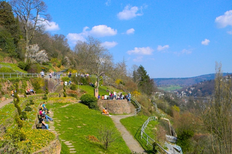 Heidelberg: privérondleiding van 3 uur met kasteelbezoekRondleiding in het Duits