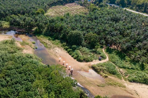 Phuket: Khao Sok Private Ethical Elephants & Bamboo Rafting