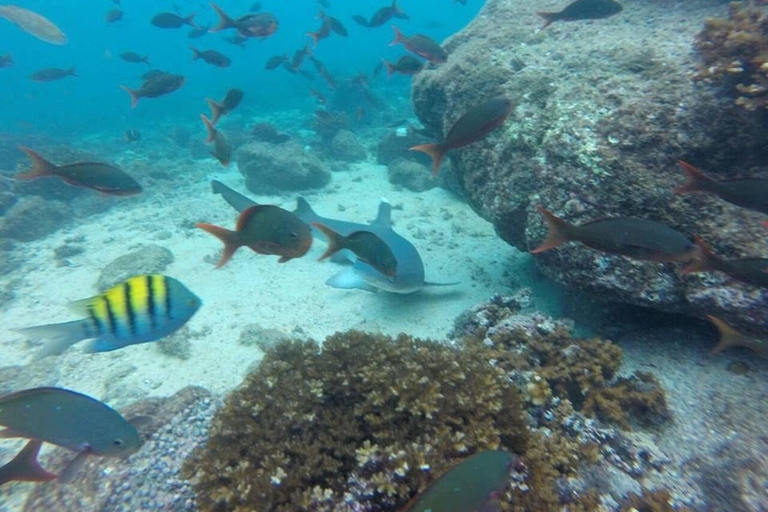 Panama City: 2 Day Coiba and Santa Catalina Tour