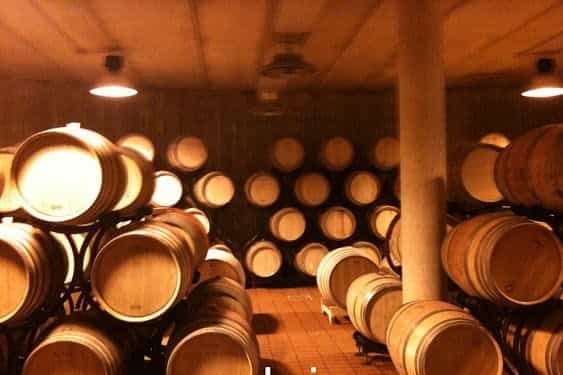 montalcino wine tasting 1day tour from umbria