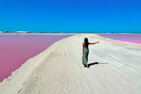 Riviera Maya: Rio Lagartos & Las Coloradas Day Trip w/Lunch
