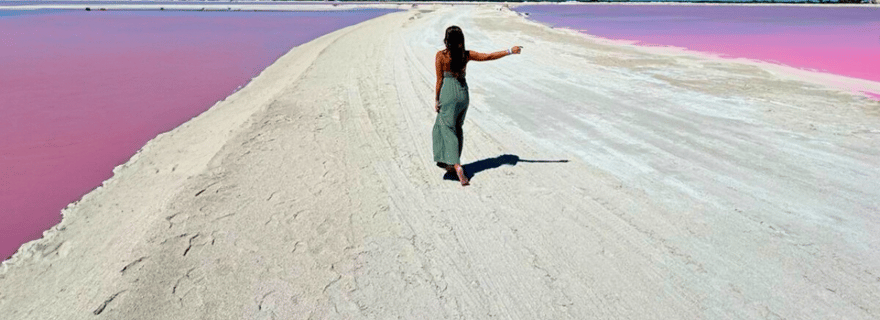 Riviera Maya : Excursion d'une journée à Rio Lagartos et Las Coloradas avec déjeuner