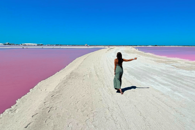 Riviera Maya: Rio Lagartos & Las Coloradas Day Trip w/Lunch From Riviera: Rio Lagartos & Las Coloradas Day Trip & Lunch