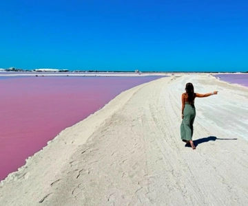 Riviera Maya: Rio Lagartos & Las Coloradas Tagesausflug mit Mittagessen