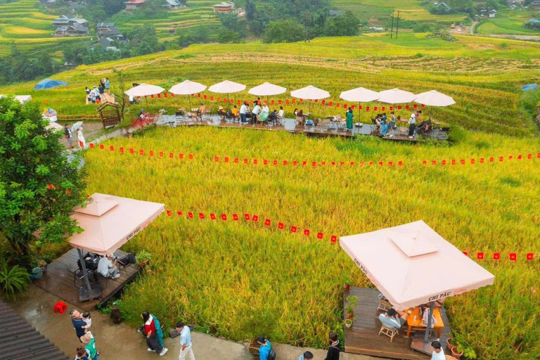 Hanoi: Wycieczka grupowa/prywatna 2-dniowa Sapa z 5-gwiazdkowym hotelemHanoi: 2-dniowa wycieczka grupowa do Sapa z 4-gwiazdkowym hotelem