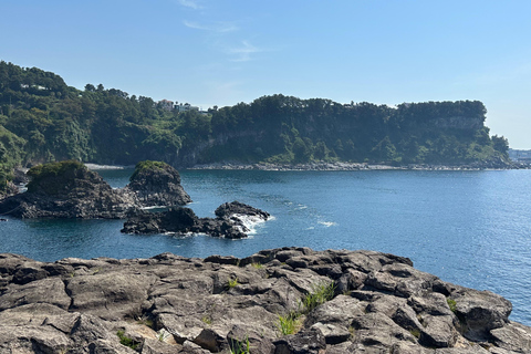 Jeju Sur: Curación UNESCO Tour en grupo reducido de un día