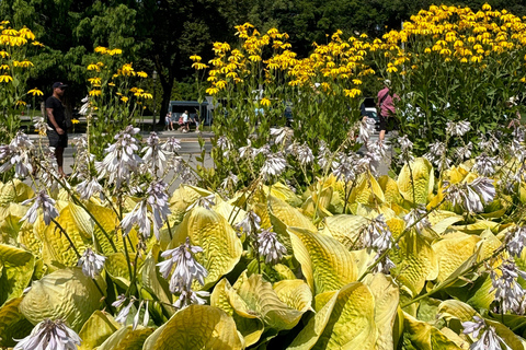 Walking Tour of Niagara Falls Canada and Hornblower Boat