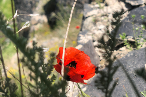 Yerevan: Private Medieval Citadels Tour with Guide