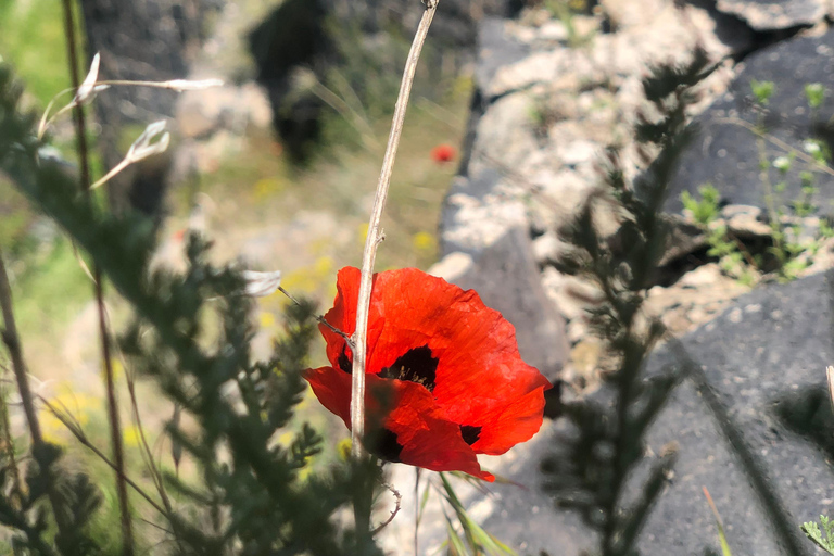 Yerevan: Private Medieval Citadels Tour with Guide