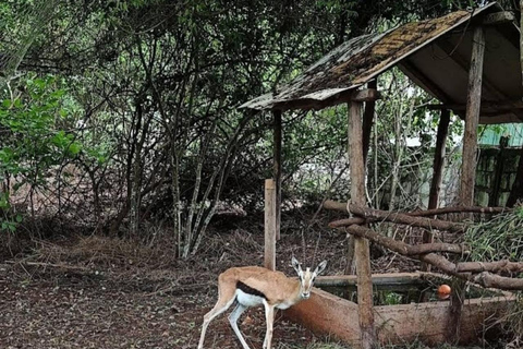 Zanzibar: Swim with Turtles at Baraka Aquarium and Zoo Park