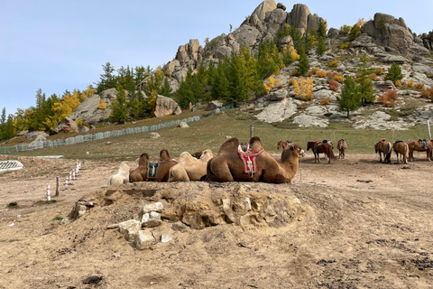 Genghis Khan Statue and Terelj National Park day trip