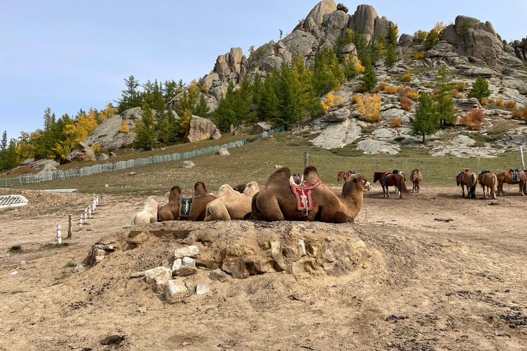 Genghis Khan Statue and Terelj National Park day trip