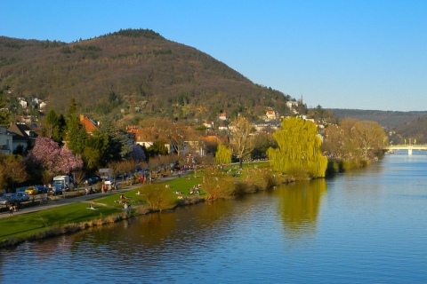 Heidelberg: Privater Rundgang und SchlossbesichtigungFührung auf Deutsch