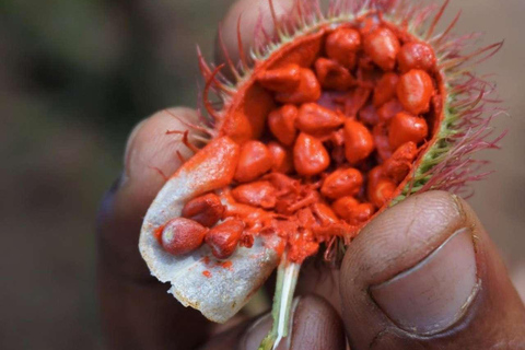 Spice Farm, Stone Town, Prison & Nakupenda+pick up+entry fee