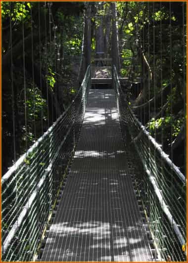 photo-gallery