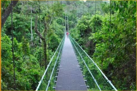 Insel Roatan: Halbtägiger Eco-Walk, Zip-line- & StrandtourStandard-Option