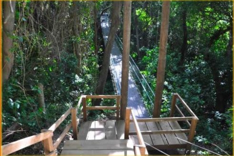 Insel Roatan: Halbtägiger Eco-Walk, Zip-line- & StrandtourStandard-Option