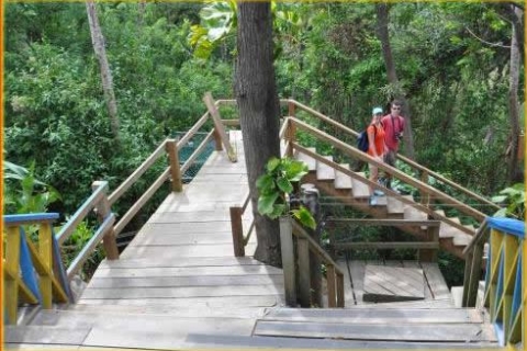Roatan Island: une demi-journée Eco-Walk, Zip-line & Beach Tourstandard Option