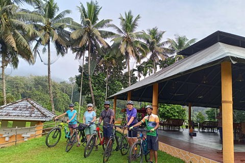 Tour in bici di 11 giorni alla scoperta delle spezie del Kerala