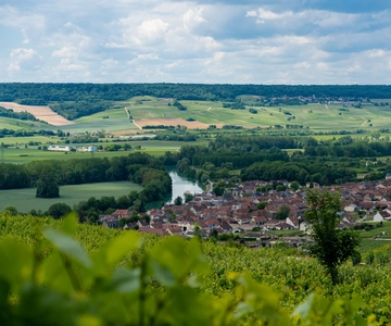 Epernay: navetta per un'escursione botanica