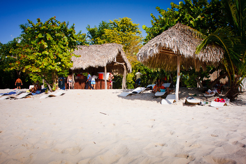 República Dominicana: Buceo VIP en la Isla Catalina