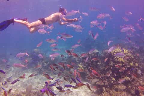La Romana: tour de esnórquel de 1 día por Isla Catalina