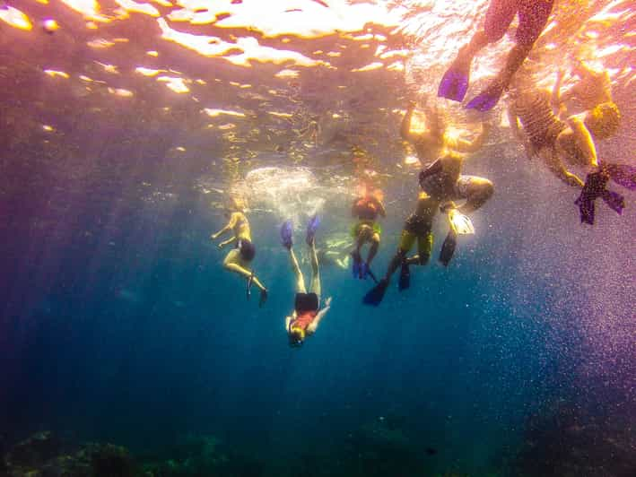 La Romana: Catalina Island Full-Day Snorkeling Tour | GetYourGuide