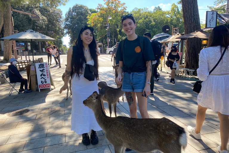 From Kyoto/ Osaka: Nara Day Tour with Guide & Vehicle Regular Car (Up to 2 PAX)