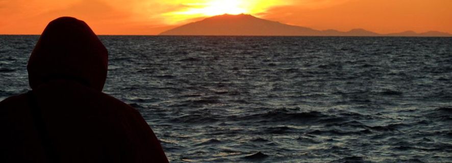 Reykjavik: excursão para observação de baleias no sol da meia-noite