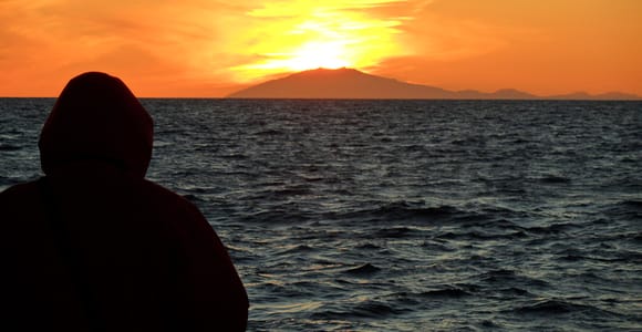 Reykjavik: Midnight Sun Whale Watching Tour