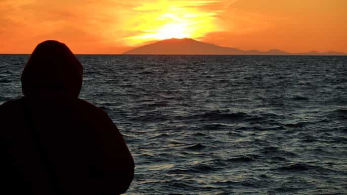 reykjavik midnight sun whale watching tour