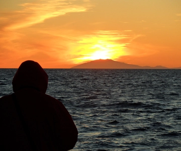Reykjavik: Midnight Sun Whale Watching Tour