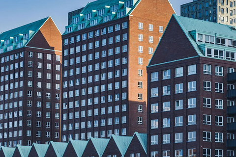 Amsterdam: Hague, Delft, and Rotterdam Day Trip